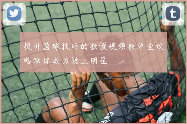 提升篮球技巧的教授视频教学全攻略助你成为场上明星